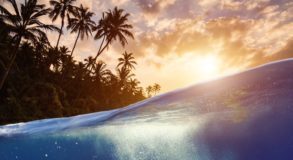 Anne Glenconner – Assassinio sull’isola
