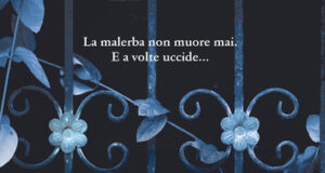 Linda Tugnoli – L’ordine delle cose