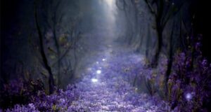 Ludovico Del Vecchio – Il mistero dei fiori viola