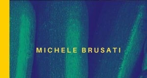 Michele Brusati – La Teoria dello spillo
