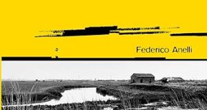 Federico Anelli – Falso indaco