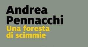 Andrea Pennacchi – Una foresta di scimmie