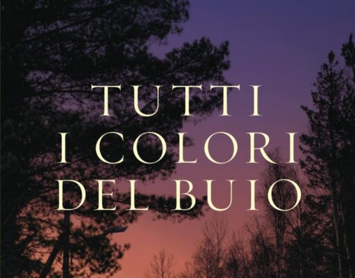 Chris Whitaker – Tutti i colori del buio